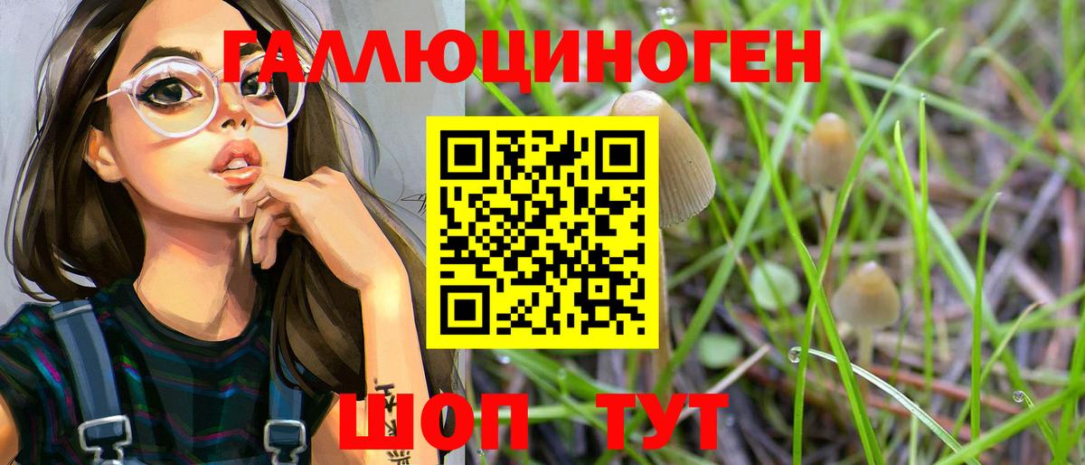 Североуральск  Галлюциногенные грибы Magic Shrooms  Вход с VPN  Псилоцибиновые грибы Psilocybe 